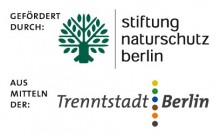 Logo_SNBTrenntstadt